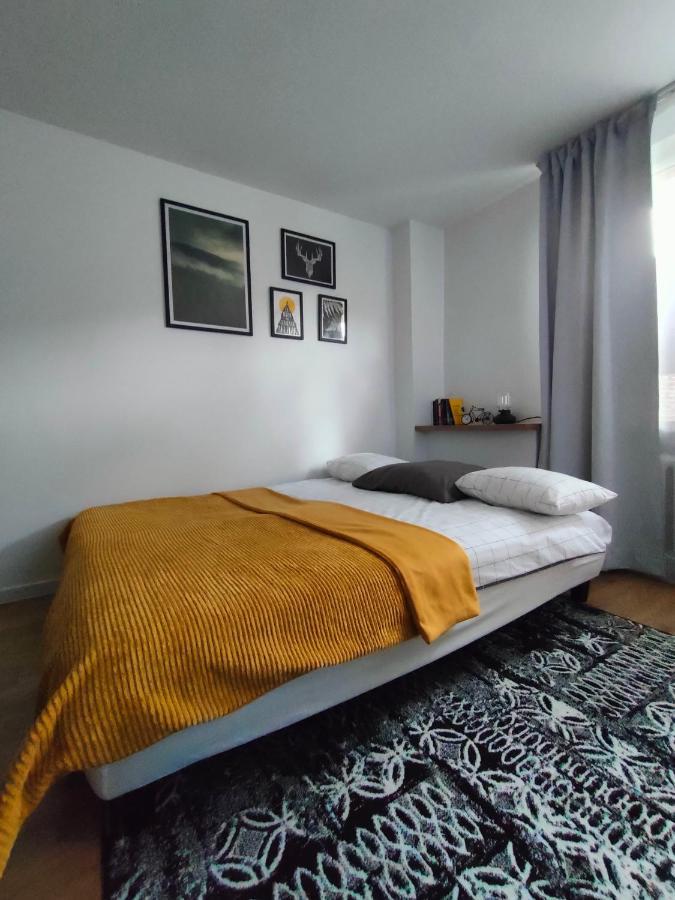 Apartment Mineralny